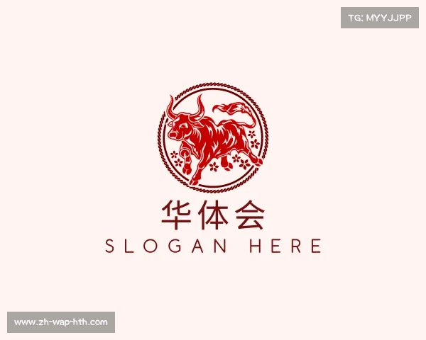 关于华体会